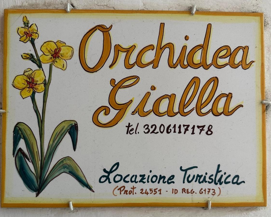 Orchidea Gialla Geata Exterior foto