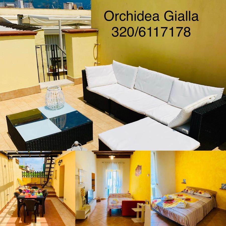 Orchidea Gialla Geata Exterior foto