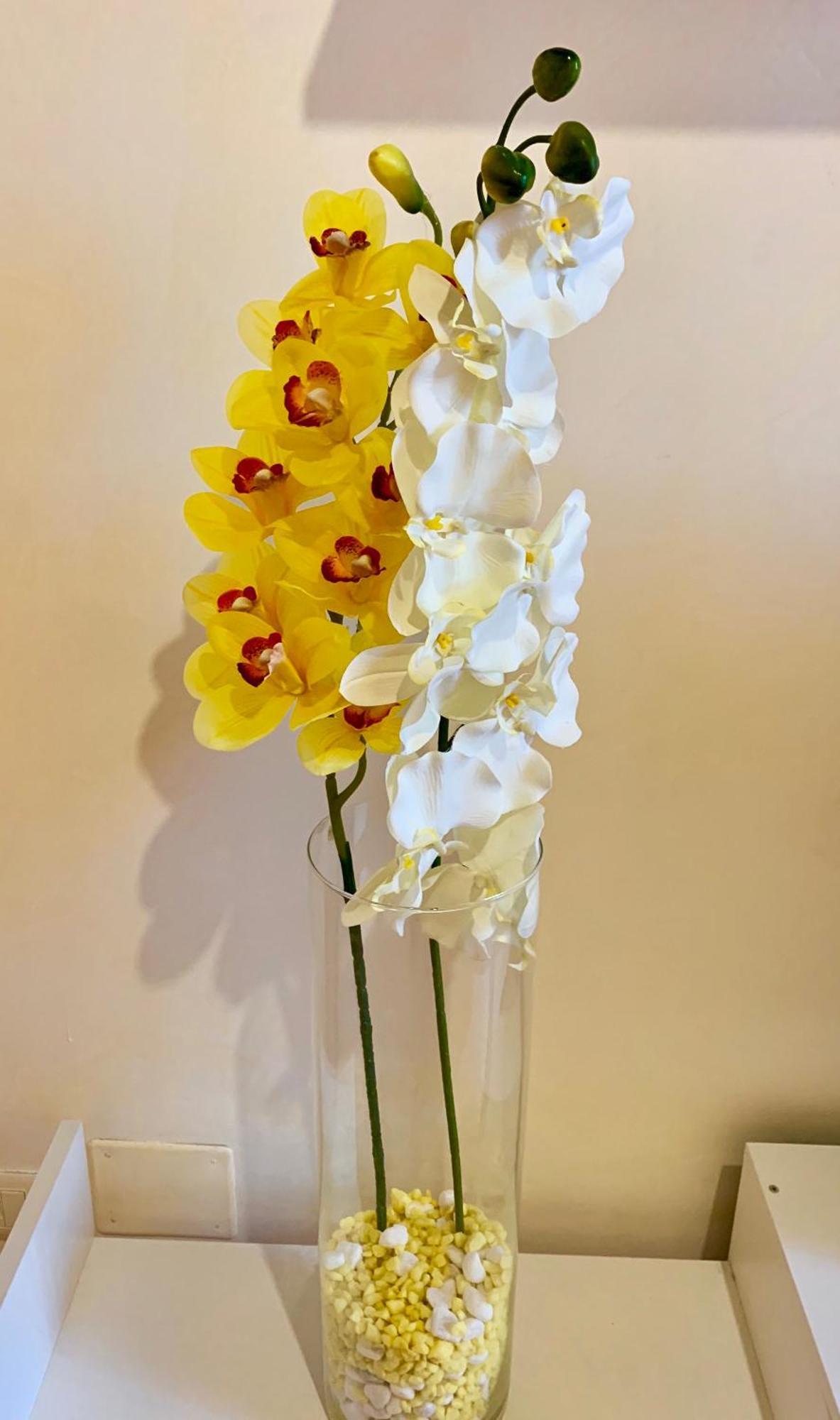 Orchidea Gialla Geata Exterior foto